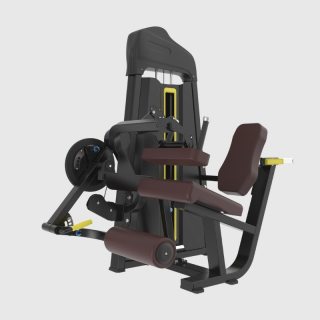 SEATED LEG CURL/EXTENSION TB25