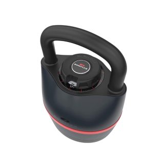 PESA RUSA BOWFLEX SELECTTECH MODELO 840